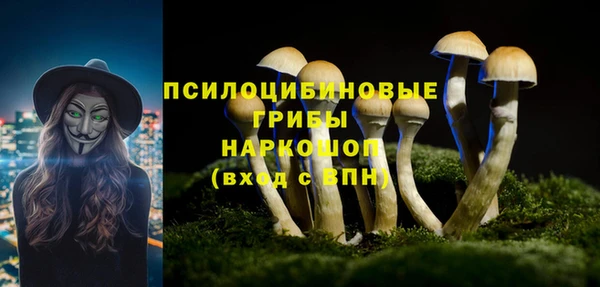 гидропоника Алзамай