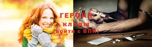 прущие грибы Гусиноозёрск