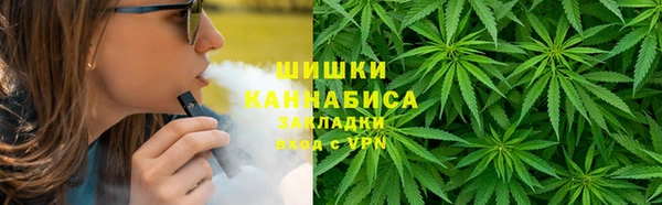 гидропоника Алзамай