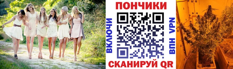 купить закладку Полтавская Конопля семена
